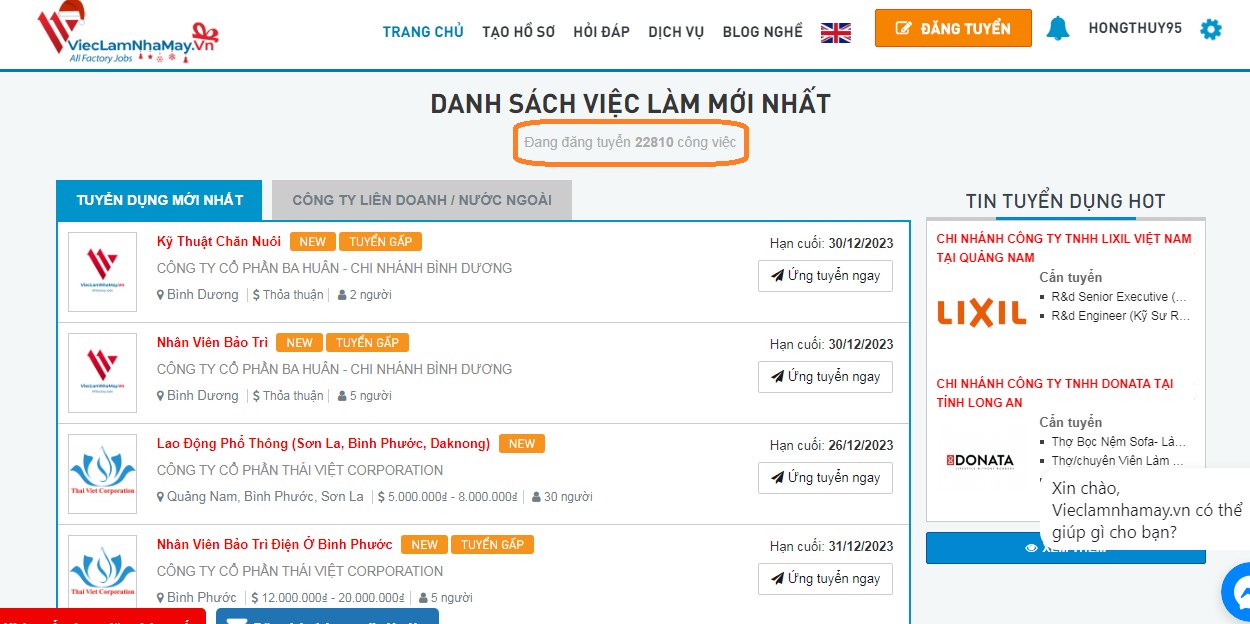 trao cơ hội việc làm cho lao động lớn tuổi