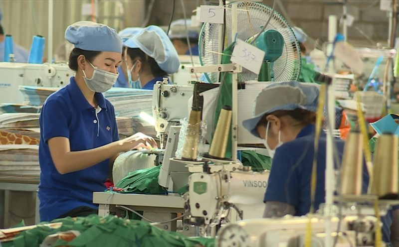 tình cảnh xin việc hiện nay: trẻ chê thiếu kinh nghiệm, trung niên chê già