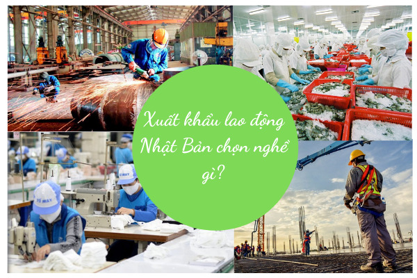 Xuất khẩu lao động Nhật Bản nên chọn nghề gì?